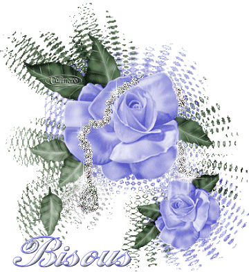 Bises � vous Mesdames et pogne aux Messieurs !!